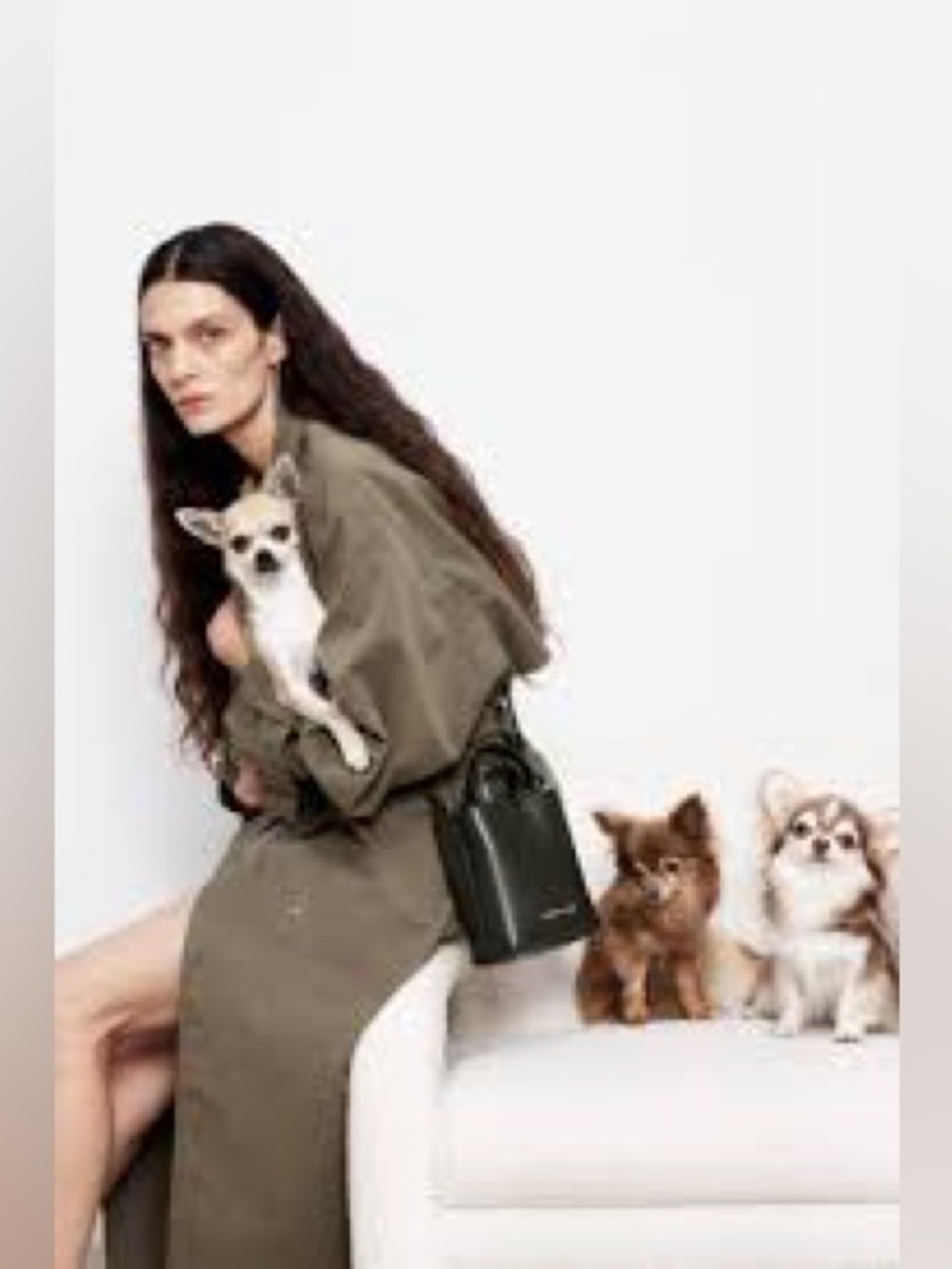 Bimba y Lola chihuahua Collection Black Nylon Small Bag Crossbody Tote - Picture 15 of 16